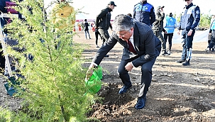 BAŞKAN VEKİLİ MUTLUAY FİDAN DİKİM ETKİNLİĞİNE KATILDI