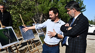 ÇOMÜ KUŞLARA YUVA OLUYOR