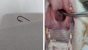 OLTA BALIKÇILIĞI YAPAN KENTLİLERİMİZİN DİKKATİNE!