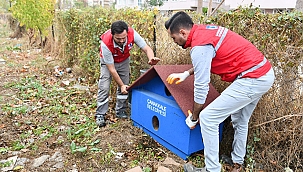 SOKAK HAYVANLARI İÇİN GÖNÜLLÜLERLE EL ELE