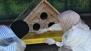 KEDİ KÖYÜNDE RENKLİ ETKİNLİK