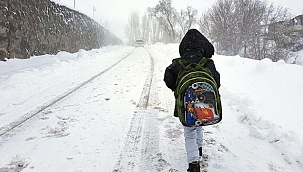 ÇANAKKALE'DE OKULLAR TATİL EDİLDİ