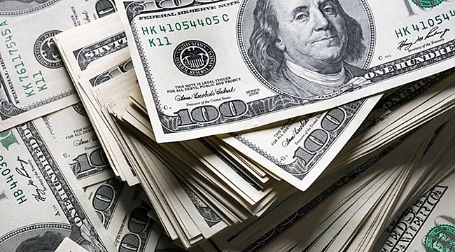 DOLAR ALDI BAŞINI GİDİYOR!