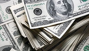 DOLAR ALDI BAŞINI GİDİYOR!