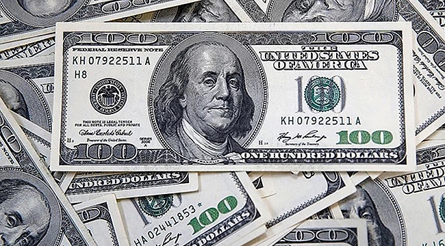 DOLAR ZİRVE TAZELEDİ
