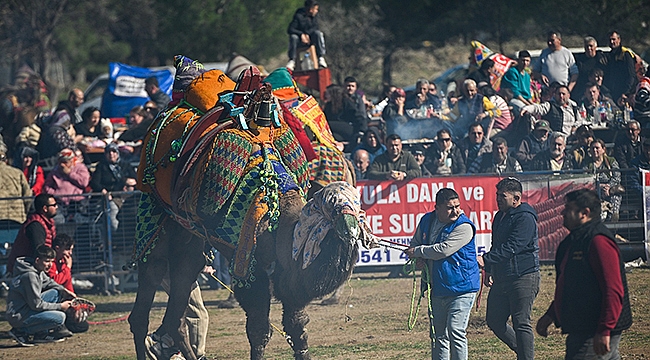 GEYİKLİ'DE FESTİVAL COŞKUSU