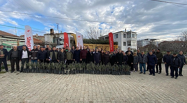 ORMAN YANGININDAN ZARAR GÖREN ÜRETİCİLERE ZEYTİN FİDANI