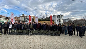 ORMAN YANGININDAN ZARAR GÖREN ÜRETİCİLERE ZEYTİN FİDANI 