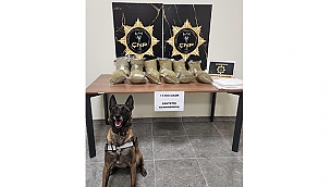 UYUŞTURUCUYA GEÇİT YOK