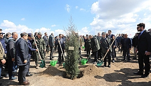 300.000 BİN FİDAN TOPRAKLA BULUŞTU