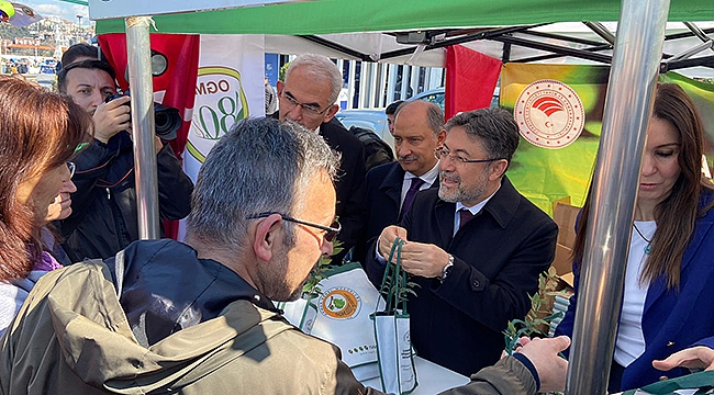 BAKAN YUMAKLI FİDAN DAĞITTI