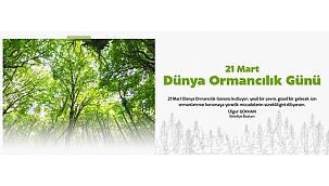 BAŞKAN GÖKHAN'IN 21 MART DÜNYA ORMANCILIK GÜNÜ MESAJI