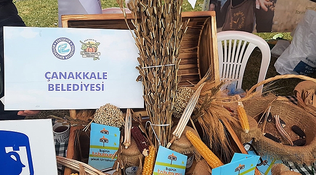 TOHUM SANDIĞI BİRİMİ, TOHUM TAKAS ŞENLİĞİNDEYDİ