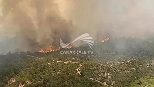 VALİLİKTEN ORMAN YANGINI UYARISI!