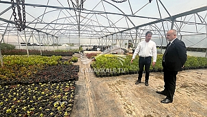 BAŞKAN VEKİLİ DEHMEN'DEN ÇİÇEK SERALARINA ZİYARET