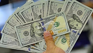 DOLARDA YÜKSELİŞ KISA SÜRDÜ