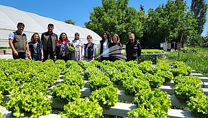 İL MÜDÜRÜ'NDEN SERA ZİYARETİ