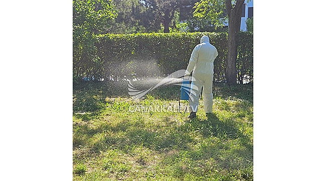 KEPEZ'DE KENE VE PİRE İLAÇLAMASI YAPILDI