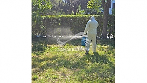 KEPEZ'DE KENE VE PİRE İLAÇLAMASI YAPILDI