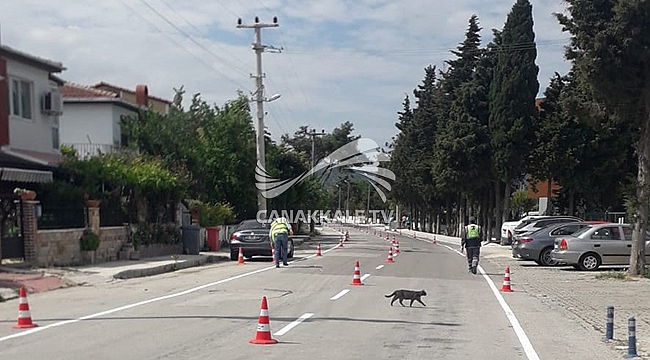 TRAFİKTE YAYA VE SÜRÜCÜ GÜVENLİĞİ İÇİN ÇALIŞMALAR SÜRÜYOR