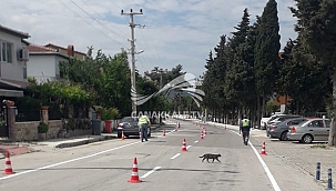 TRAFİKTE YAYA VE SÜRÜCÜ GÜVENLİĞİ İÇİN ÇALIŞMALAR SÜRÜYOR