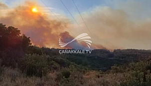 AFAD ORMAN YANGINLARINA KARŞI UYARDI!