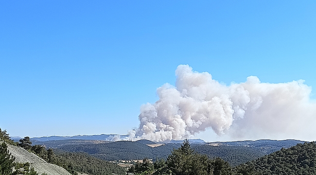 BİR GÜNDE KAÇINCI YANGIN!