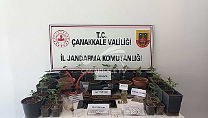 ÇANAKKALE'DE EŞZAMANLI UYUŞTURUCU OPERASYONU