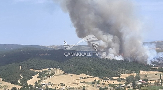 ÇANAKKALE'DE YİNE ORMAN YANGINI!