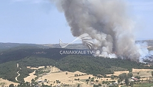 ÇANAKKALE'DE YİNE ORMAN YANGINI!