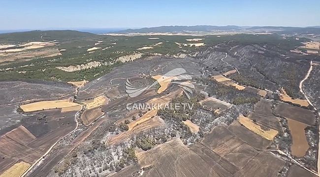 ÇANAKKALE'NİN CİĞERLERİ YANDI