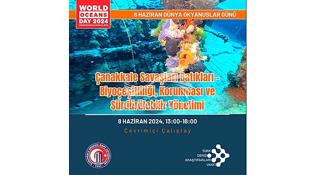 ÇEVRİMİÇİ ÇALIŞTAY GERÇEKLEŞTİRİLDİ