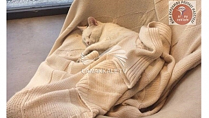 DOĞANLAR MOBİLYA GRUBU'NDAN ÖRNEK DAVRANIŞ