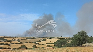 EZİNE'DE ORMAN YANGINI!