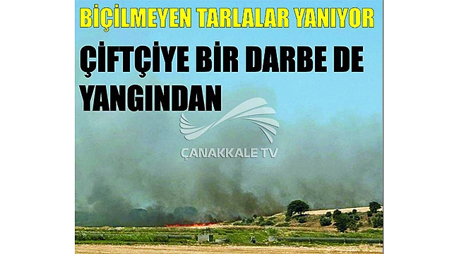 ŞİMDİ DE BİÇİLMEYEN TARLALAR YANIYOR!