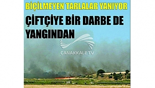 ŞİMDİ DE BİÇİLMEYEN TARLALAR YANIYOR!