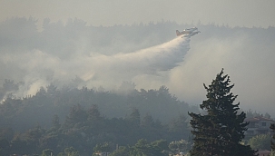 TARİHİ ALANDA KORKUTAN BİLANÇO!