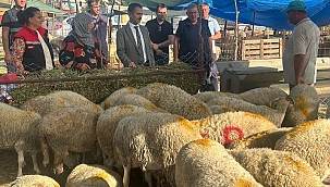VALİ AKTAŞ HAYVAN PAZARINI İNCELEDİ
