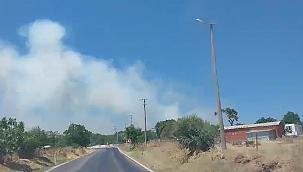 YANGIN KONTROL ALTINA ALINDI