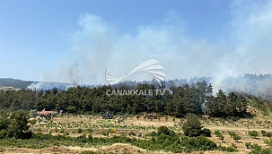 YANGINA MÜDAHALE EDİLİYOR