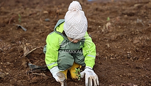 YEŞİL DÖNÜŞÜM ORMANLARI PROJESİ, 80 BİN M² YEŞİL ALAN YARATTI