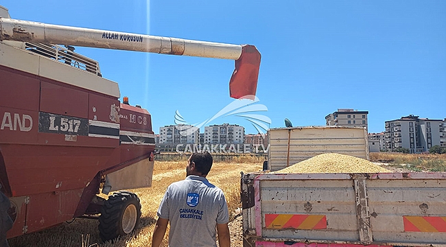 ATALIK BUĞDAY VE YEMLİK ARPANIN HASADI GERÇEKLEŞTİRİLDİ