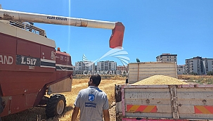 ATALIK BUĞDAY VE YEMLİK ARPANIN HASADI GERÇEKLEŞTİRİLDİ