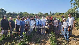 İLK ÇİÇEK HASADI YAPILDI