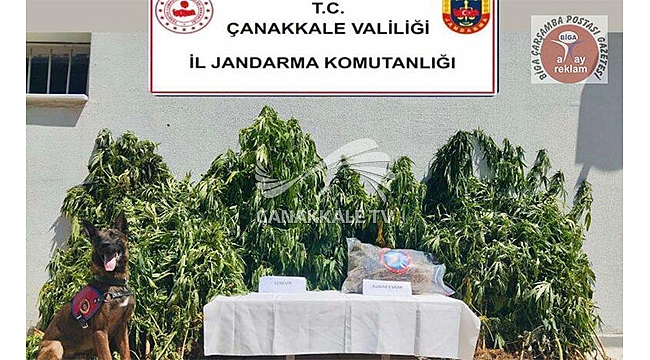 BİGA'DA UYUŞTURUCU MADDEYE GEÇİT YOK