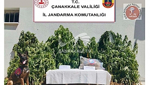 BİGA'DA UYUŞTURUCU MADDEYE GEÇİT YOK