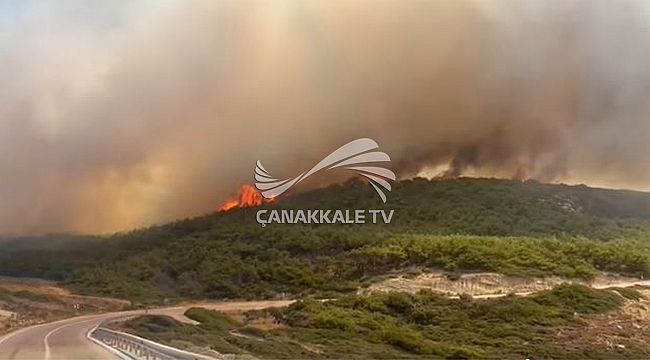 BOZCAADA YANIYOR!