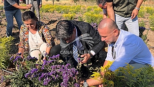 HANIMELİ PROJESİ İLK HASADINI GERÇEKLEŞTİRDİ