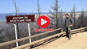 "HERHANGİ BİR ANIT, ABİDE, HEYKEL, MÜZE ZARAR GÖRMEDİ"