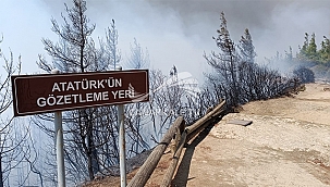 TARİHİMİZ CAYIR CAYIR YANIYOR!